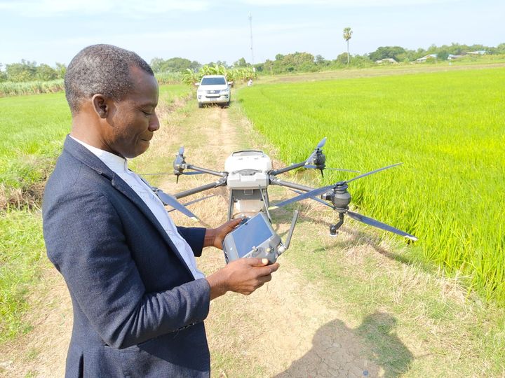 Drone controller in use beside a spraying drone over a rice field