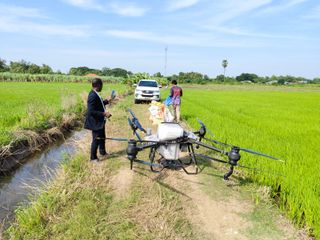 Agricultural spraying drone on a path between green rice fields