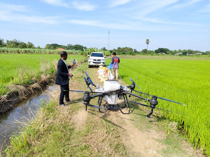 Agricultural spraying drone on a path between green rice fields