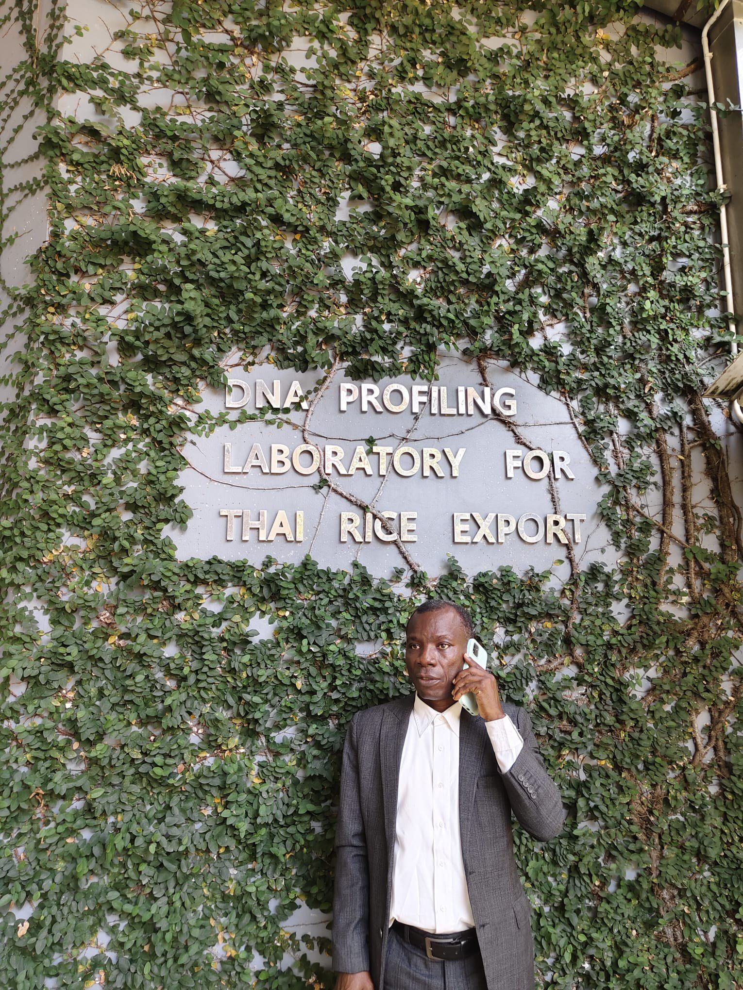 Sign for the DNA Profiling Laboratory for Thai Rice Export on an ivy-covered wall