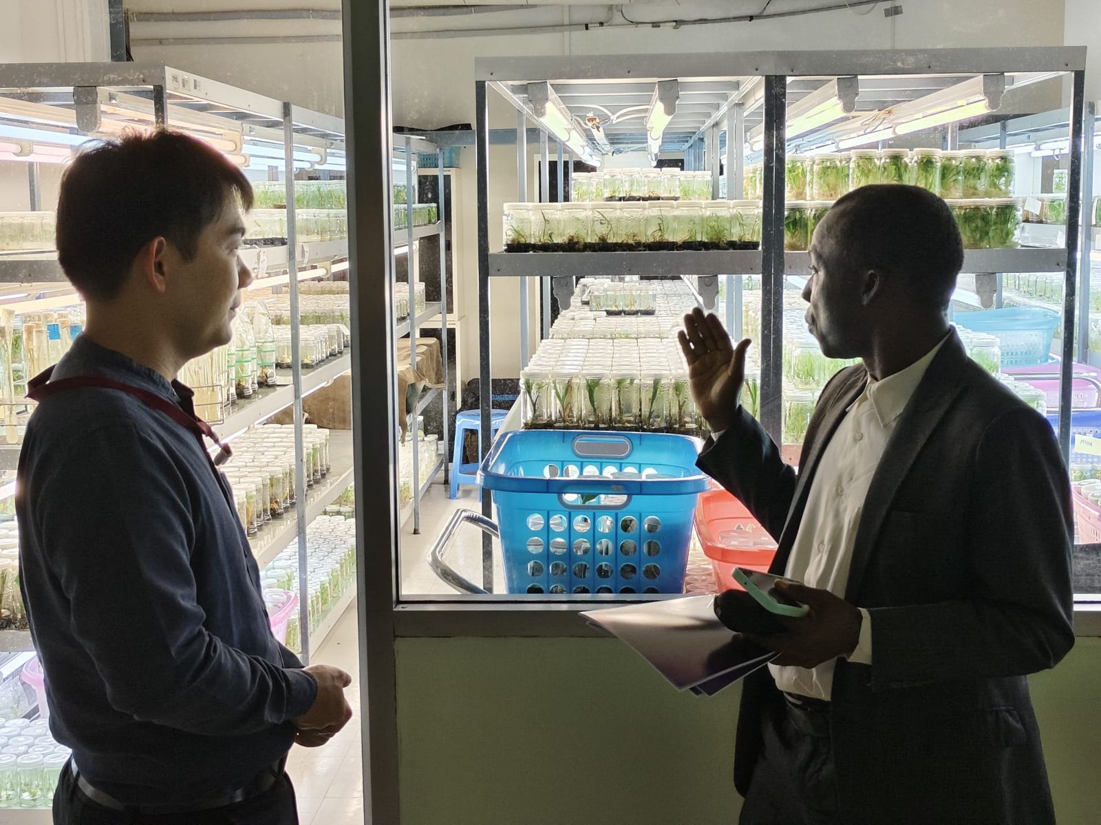 Discussion beside illuminated shelves of plant tissue-culture samples