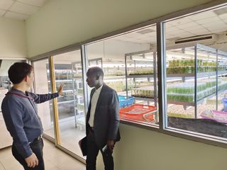 Researcher showing shelves of plant tissue-culture jars in a laboratory