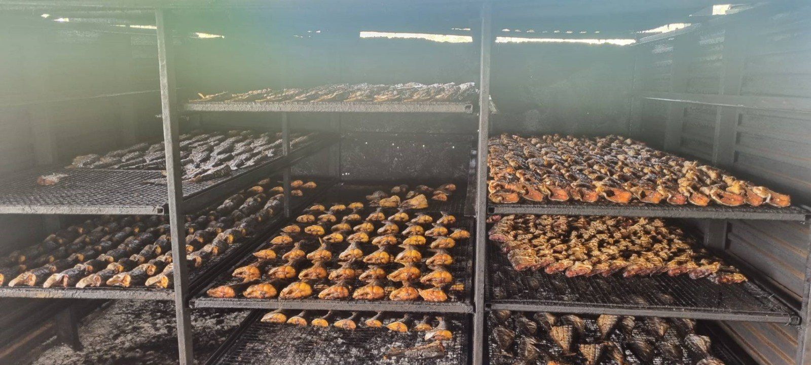 Racks of fish being smoked in a processing kiln