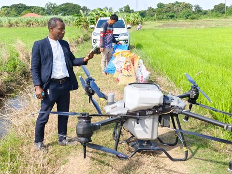 Fertiliser bags being loaded for drone application at the edge of a rice field